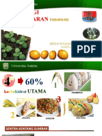 2021 - Teknologi Penangkaran Kentang 24 Okt 2021