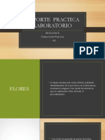 Presentación 9 PDF