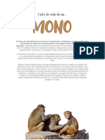 Ecologia - Ciclo de Vida Mono