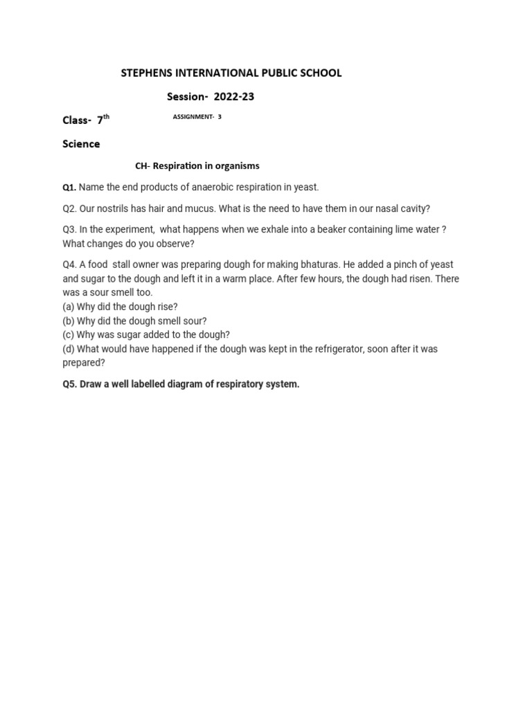 Class 7, Assignment 3 PDF