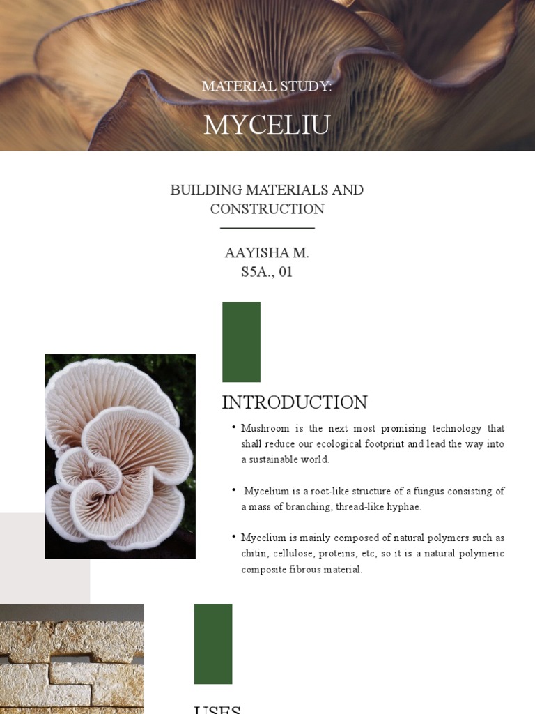 Material Study | PDF | Building Materials | Brick
