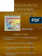 Introduction To Occupational Health & Safety