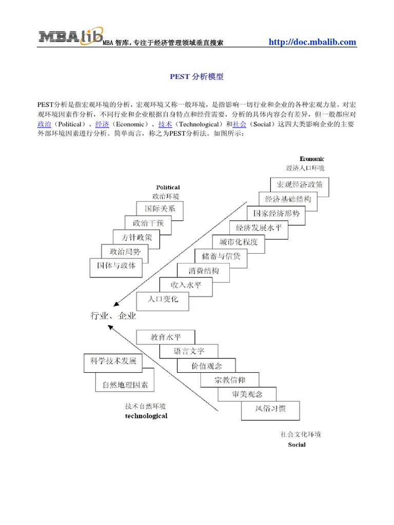 PEST分析模型| PDF