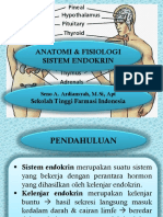 Pert 2 - ANATOMI DAN FISIOLOGI SISTEM ENDOKRIN