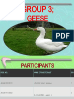 Geese PPTX 4