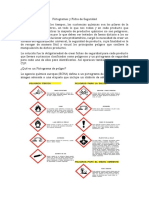 Pictogramas y Ficha de Seguridad PDF