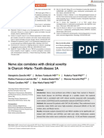 Muscle and Nerve - Zanette - Nerve Size Correlates With Clinical Severity in Charcot Marie Tooth Disease 1A PDF