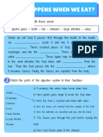 Digestive System Worksheet