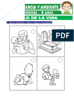 Ciclo de La Vida para Ninos de Cuatro Anos PDF