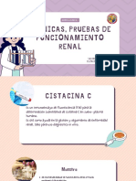 Tecnicas, Pruebas de Funcionamiento Renal: Quimica Clinica I