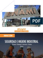 Induccion Seguridad y Medio Ambiente - NUEVA2022