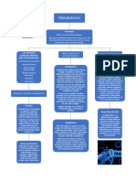 Metabolismo
