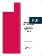 Manual FPT PDF