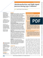 Rod Phototransduction and Light Signal Transmission During Type 2 Diabetes