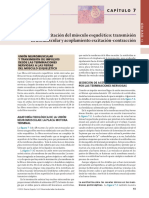 Cap. 7 PDF