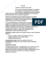 Tétel - Hangalak És Jelentés Kapcsolata PDF