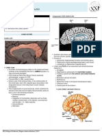 Trans - Physio (The Limbic System) PDF