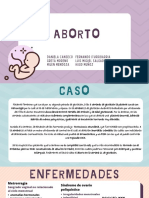 Aborto: Fernando Iturribarria Luis Miguel Salgado Hugo Muñoz Daniela Canseco Greta Moreno Milen Mendoza