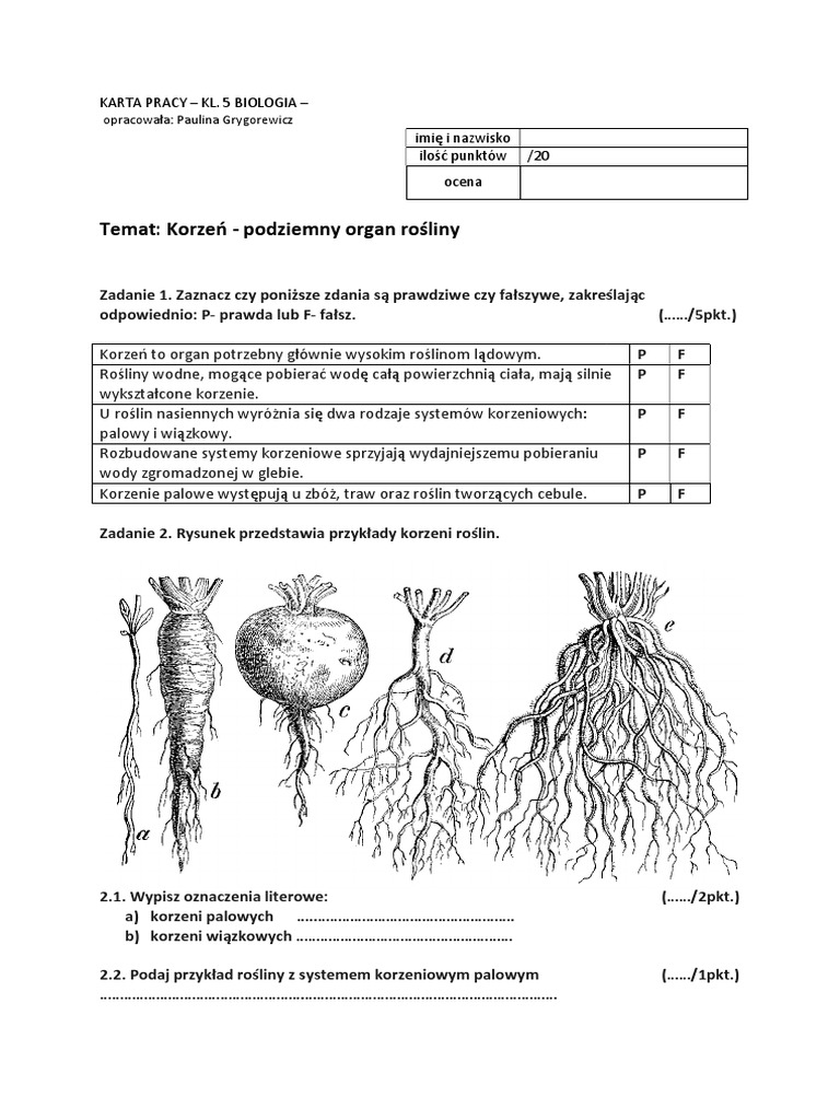 Biologia Klasa 5 Tkanki I Organy Roślinne Sprawdzian KARTA PRACY KL.5. Korzeń Podziemny Organ Rośliny PDF | PDF