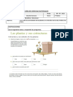 Guía Sobre Las Plantas 3 Básico