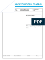 Formato Enfermeria #10 Notas de Evolucion y Control