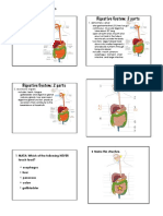 23 The Digestive System PDF