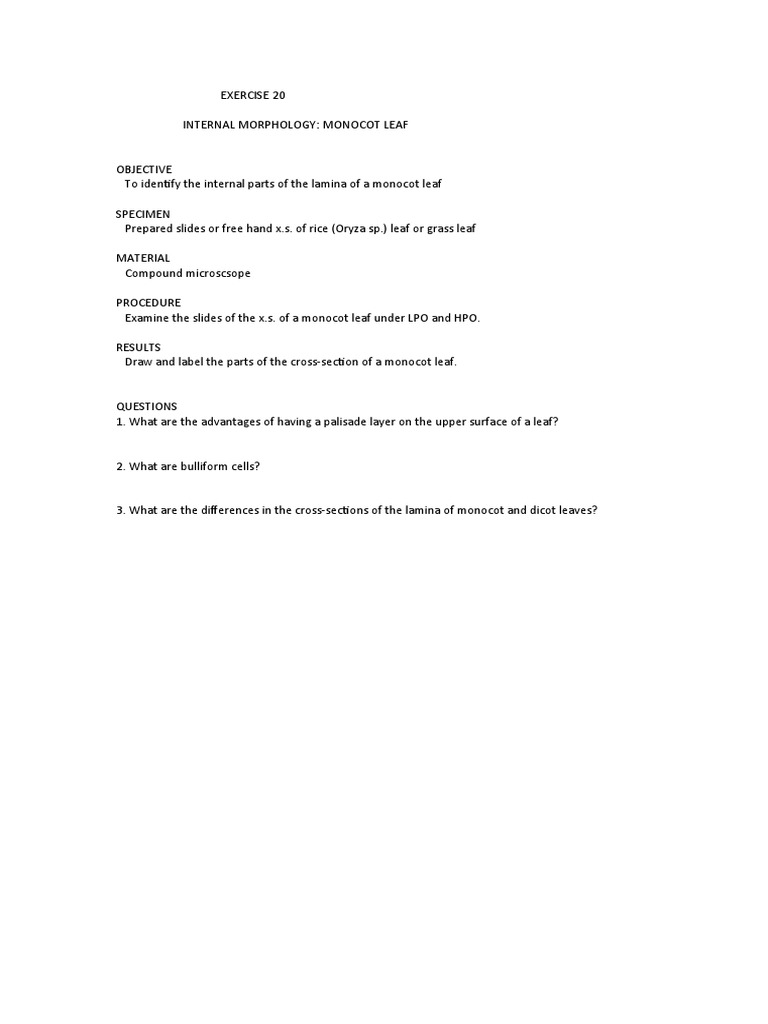 EXERCISE 20 Botany Lab PDF