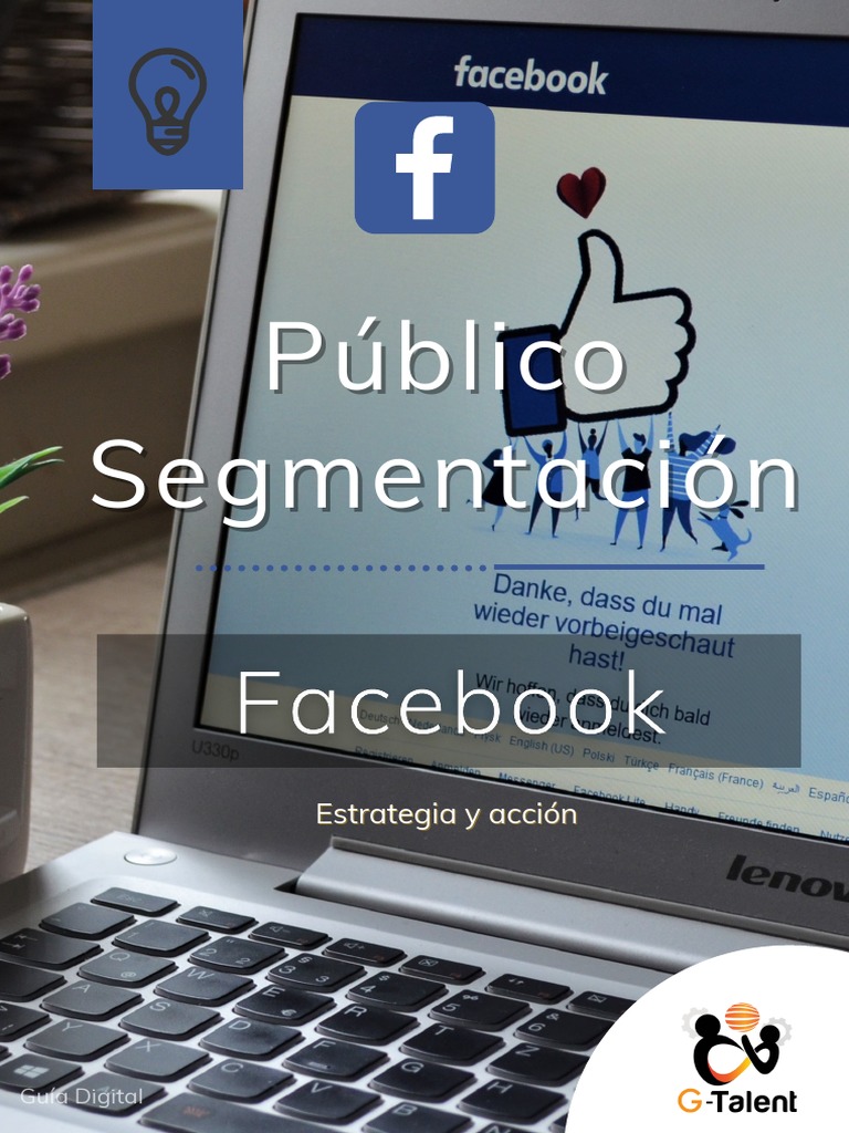Guía de Segmentación en Facebook Ads | PDF | Salud y bienestar