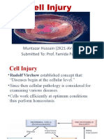 Cell Injury: Muntazar Hussain (2K21-AV-179) Submitted To: Prof. Famida Parveen