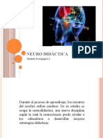 Neuro Didáctica