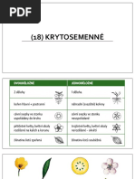 Stavba-Kvetu Final | PDF