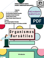 Organismos Bursátiles PDF