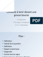 Grosse Bourse (Diapo) (Dr. Mesbah)