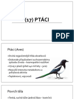 17) Ptáci PDF