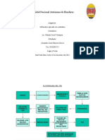 Diagrama de Flujo Del TIR, Alejandro Ramirez