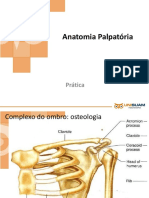 Anatomia Palpatória Cintura Escapular