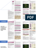 Cambios Manual Nefro PDF