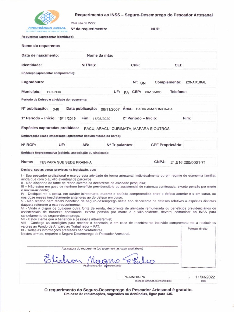 Requerimento Do INSS PDF | PDF
