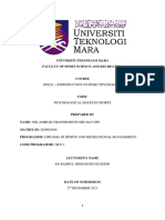 Individual Assesment SPS231