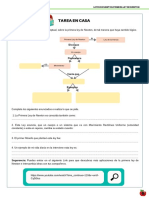 Anexo (3) - 52 - Merged PDF