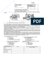 Prueba de Diagnostico Segundos Medios Bio