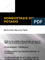 Homeostasis Del Potasioo