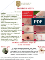Rojo Blanco Ilustrado Mosquitos Día Mundial de La Malaria Póster PDF