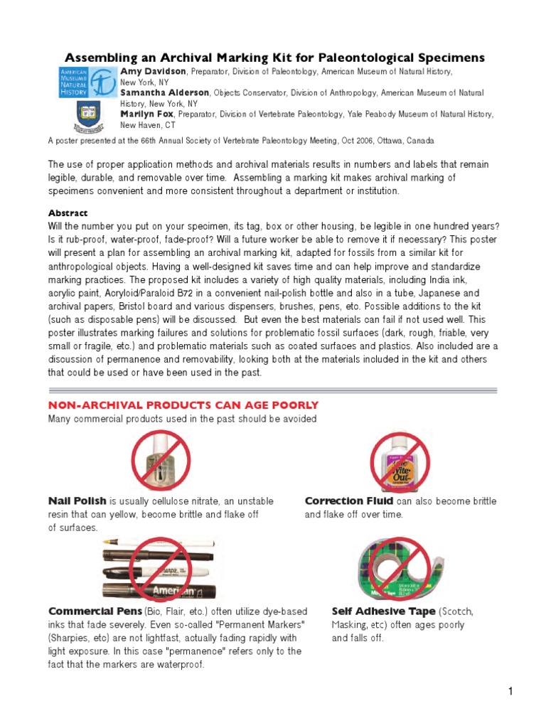 Davidson Et Al 2006 PDF Ink Paint
