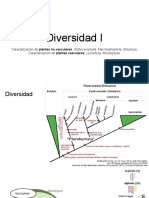 Diversidad I Biologia de Las Plantas