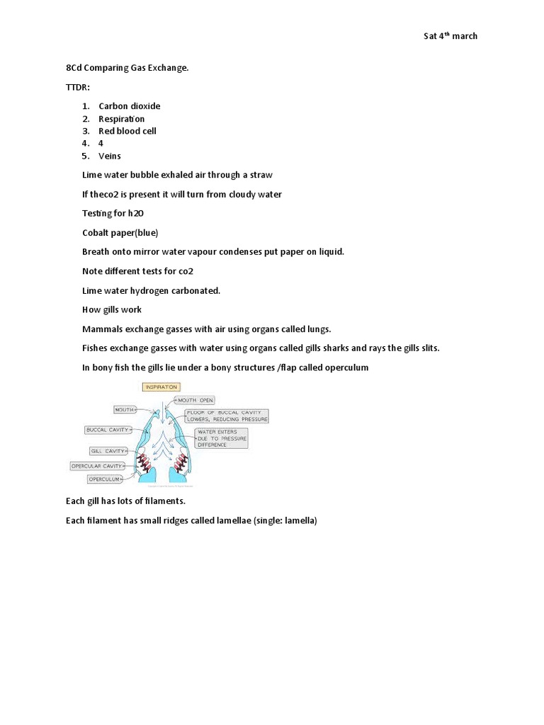 Gas Exchange in Animals Explained | PDF