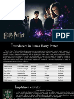 Harry Potter-Prezentare