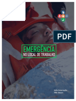 Emergência no Local de Trabalho.pdf