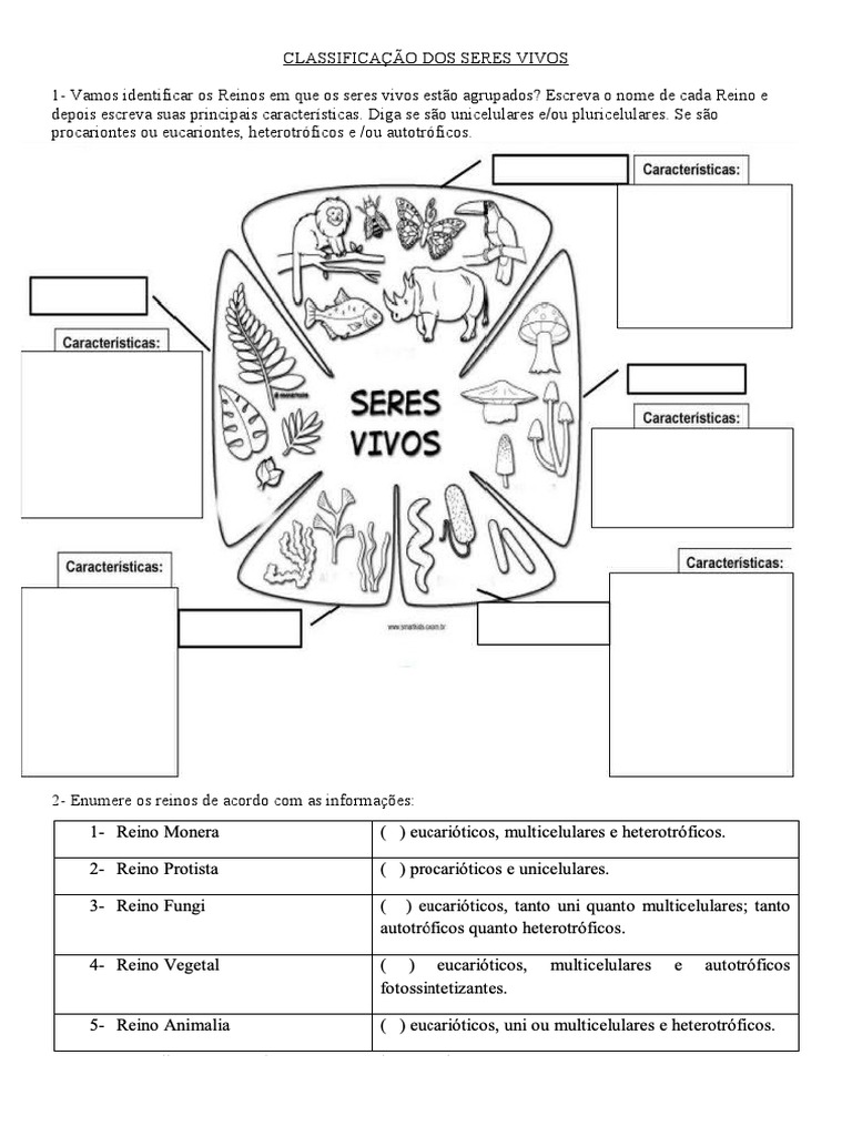 Classificação dos Seres Vivos e Reinos | PDF