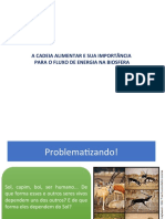 A cadeia alimentar e sua importância para o fluxo de energia na biosfera (2).ppt